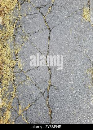 Dommages à la route sur la surface asphaltée. Le tarmac a plusieurs grandes fissures et de petits morceaux se sont écaillés, indiquant l'usure et l'altération Banque D'Images