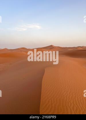 Dunes de sable jaune de l'Erg Chegaga, désert du Sahara, Maroc Banque D'Images