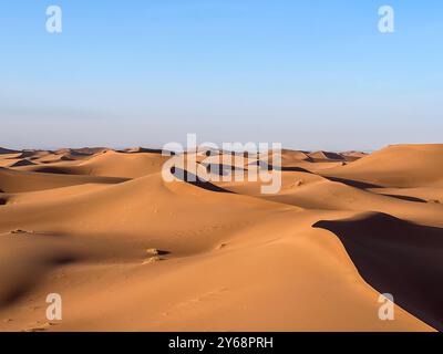 Mer de dunes de sable, Erg Chegaga, Maroc Banque D'Images