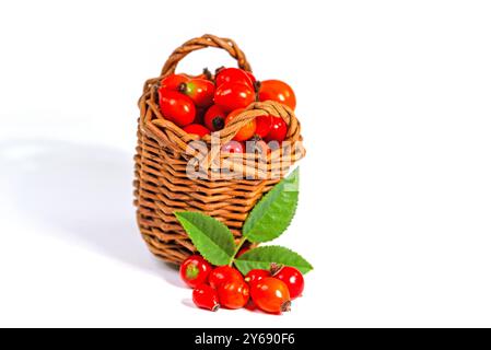 Rosehips dans un panier sur un fond blanc Banque D'Images