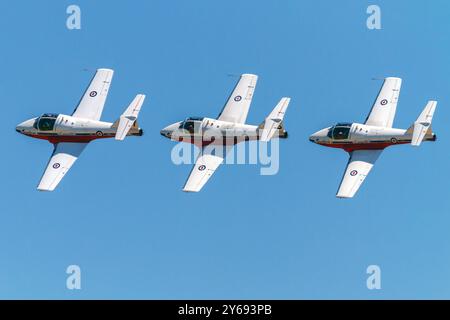 L'escadron de démonstration de l'Aviation royale du Canada, les Snowbirds , se produisant lors d'un spectacle aérien à Thomas, Ontario, Canada (2016). Banque D'Images