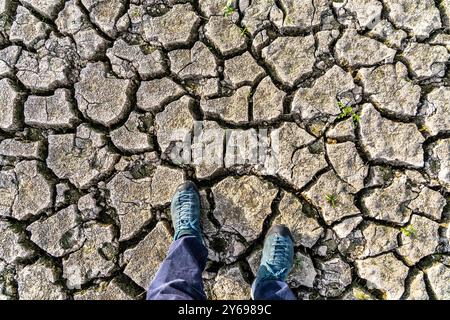 Trockener Boden, rissig, ausgetrocknetes Flussbett, in einem Seitenarm des Rheins, BEI Duisburg, Trockenheit *** sol sec, fissuré, lit de rivière asséché, dans une branche du Rhin, près de Duisburg, sécheresse Banque D'Images