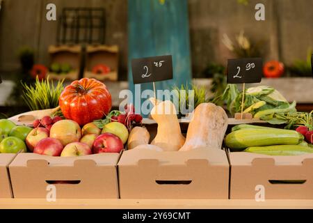 Fruits et légumes biologiques colorés cultivés localement affichés sur le stand greenmarket avec des étiquettes de prix. Gros plan de produits biologiques fraîchement récoltés dans des boîtes en carton placées sur le stand du salon agricole. Banque D'Images