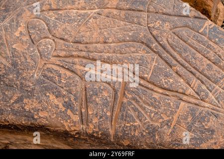 petroglyphe, gisement rocheux Aït Ouazik, Néolithique tardif, Maroc, Afrique. Banque D'Images