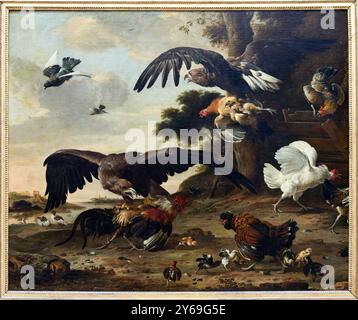 Eagles attaquant les poulets, 1673, Melchior de HONDECOETER, Utrecht (pays-Bas), 1636 - Amsterdam (pays-Bas), 1695, Musée du Louvre, Paris, France. Banque D'Images