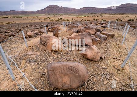 petroglyphe, gisement rocheux Aït Ouazik, Néolithique tardif, Maroc, Afrique. Banque D'Images