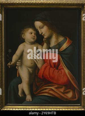 Bernardino Luini (vers 1481-1532) Peintre italien. Madonna and Child (connue sous le nom de 'Madonna Oggioni'), vers 1516. Huile sur panneau de bois (42 x 33 cm). Pinacoteca Castello Sforzesco, Milan, Italie. (Prêt, de la Pinacoteca di Brera, Milan). Banque D'Images