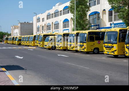 Plusieurs autobus scolaires jaunes sont alignés devant l’école, prêts à venir chercher des élèves à abu dhabi Banque D'Images