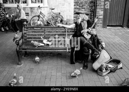 Un artiste de rue en costume de pirate est assis sur Un banc public nourrissant des pigeons, High Street, Lewes, Sussex, Royaume-Uni. Banque D'Images