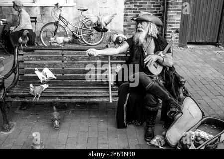 Un artiste de rue en costume de pirate est assis sur Un banc public nourrissant des pigeons, High Street, Lewes, Sussex, Royaume-Uni. Banque D'Images