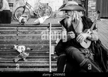 Un artiste de rue en costume de pirate est assis sur Un banc public nourrissant des pigeons, High Street, Lewes, Sussex, Royaume-Uni. Banque D'Images