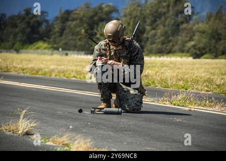 Le Sgt Clinton C. Repsher, technicien en élimination d'explosifs du corps des Marines, escadron de soutien de l'escadre des Marines (MWSS) 174, Marine Aircraft Group 24, 1st Marine Aircraft Wing évalue les dommages sur les munitions lors de l'exercice Gryphon Rumble II à la Marine corps Air Station Kaneohe Bay, Hawaii, le 23 septembre 2024. Les Marines avec le MWSS-174 ont exécuté Gryphon Rumble II pour démontrer leur capacité à planifier, installer, exploiter, maintenir et sécuriser l'architecture de communication tactique dans la chaîne des îles hawaïennes. (Photo du corps des Marines des États-Unis par le caporal Joseph Abreu) Banque D'Images