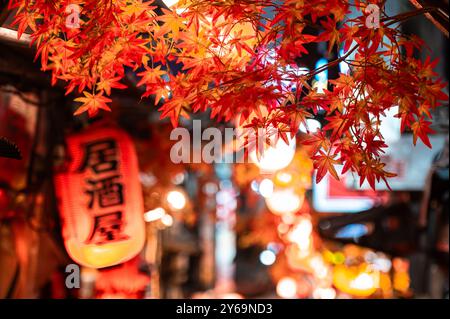 Des feuilles d'automne rouge et orange vives illuminées au-dessus d'une rue japonaise animée, décorées de lanternes traditionnelles et d'un éclairage nocturne chaleureux. Banque D'Images