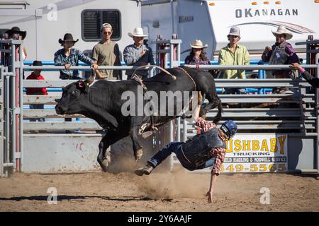 bull riding à un rodéo local Banque D'Images