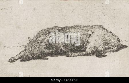 Chien endormi, Un chien dort sur le sol. Il a étendu son membre antérieur droit., imprimerie, imprimeur : Jan Weissenbruch, la Haye, (possiblement), 1837 - 1880, papier, gravure, hauteur, 51 mm × largeur, 82 mm Banque D'Images