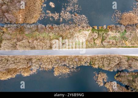 route de campagne traversant des zones humides. arrière-plan de motif naturel. vue aérienne de dessus. Banque D'Images