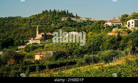 Les vignobles des collines Euganéennes. Parc régional Euganean Hills. Padoue. Italie Banque D'Images