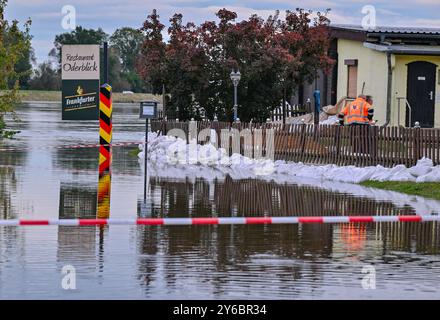 Lebus, Allemagne. 25 septembre 2024. Un restaurant est protégé des eaux de crue de l’Oder par un mur de sacs de sable. Sacs de sable, glissières de digue et murs de protection - des dommages importants doivent être évités dans les zones inondables de l'est du Brandebourg. Crédit : Patrick Pleul/dpa/Alamy Live News Banque D'Images