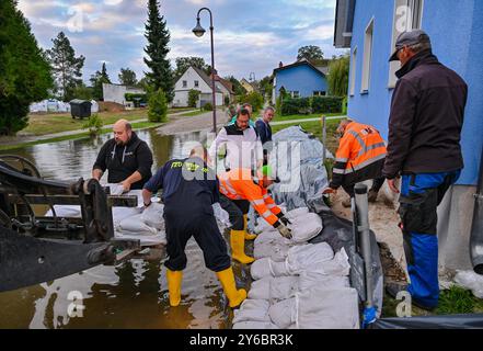 Lebus, Allemagne. 25 septembre 2024. Les bénévoles utilisent des sacs de sable pour protéger une maison des eaux de crue de l’Oder, qui ont déjà inondé les premières routes et chemins. Sacs de sable, glissières de digue et murs de protection - l'objectif est d'éviter des dommages majeurs dans les zones inondables de l'est du Brandebourg. Crédit : Patrick Pleul/dpa/Alamy Live News Banque D'Images