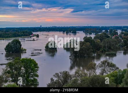 Lebus, Allemagne. 25 septembre 2024. Les inondations de l'Oder ont déjà inondé de grandes parties de l'avant-pays de l'Oder, comme ici au nord de Francfort (Oder) près de la ville de Lebus, jusqu'à la digue. Sacs de sable, glissières de digue et murs de protection - des dommages importants doivent être évités dans les zones inondables de l'est du Brandebourg. Crédit : Patrick Pleul/dpa/Alamy Live News Banque D'Images