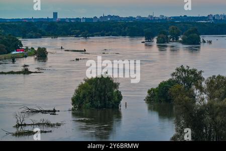 Lebus, Allemagne. 25 septembre 2024. Les inondations de l'Oder ont déjà inondé de grandes parties de l'avant-pays de l'Oder, comme ici au nord de Francfort (Oder) près de la ville de Lebus, jusqu'à la digue. Sacs de sable, glissières de digue et murs de protection - des dommages importants doivent être évités dans les zones inondables de l'est du Brandebourg. Crédit : Patrick Pleul/dpa/Alamy Live News Banque D'Images