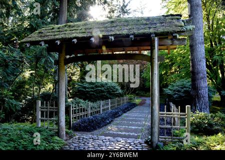 Île de Bainbridge, Washington, États-Unis. 24 septembre 2024. Une belle porte accueille les visiteurs au jardin japonais de la réserve Bloedel. La réserve Bloedel est un jardin forestier de 150 acres situé sur l'île de Bainbridge, dans l'État de Washington, aux États-Unis. Il a été créé par Virginia et Prentice Bloedel, vice-président de la compagnie de bois MacMillan Bloedel Limited, sous l'influence du mouvement de conservation et de la philosophie asiatique. (Crédit image : © Bruce Chambers/ZUMA Press Wire) USAGE ÉDITORIAL SEULEMENT! Non destiné à UN USAGE commercial ! Banque D'Images