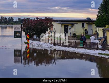Lebus, Allemagne. 25 septembre 2024. Un restaurant est protégé des eaux de crue de l’Oder par un mur de sacs de sable. Sacs de sable, glissières de digue et murs de protection - des dommages importants doivent être évités dans les zones inondables de l'est du Brandebourg. Crédit : Patrick Pleul/dpa/Alamy Live News Banque D'Images