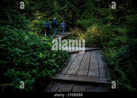 Île de Bainbridge, Washington, États-Unis. 24 septembre 2024. Belle nature comme on le voit lors d'une promenade à travers la réserve Bloedel. La réserve Bloedel est un jardin forestier de 150 acres situé sur l'île de Bainbridge, dans l'État de Washington, aux États-Unis. Il a été créé par Virginia et Prentice Bloedel, vice-président de la compagnie de bois MacMillan Bloedel Limited, sous l'influence du mouvement de conservation et de la philosophie asiatique. (Crédit image : © Bruce Chambers/ZUMA Press Wire) USAGE ÉDITORIAL SEULEMENT! Non destiné à UN USAGE commercial ! Banque D'Images