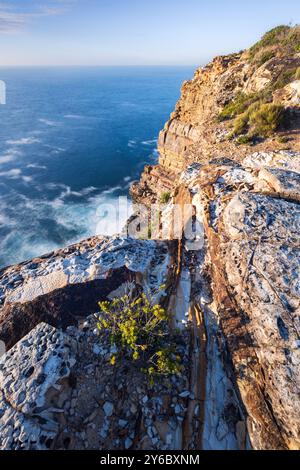 vue panoramique depuis le sommet de la falaise sur l'océan dans le parc national de bouddi sur la côte centrale de nouvelle-galles du sud Banque D'Images