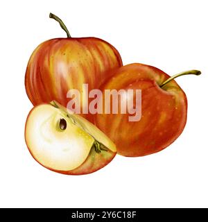 Deux pommes entières et un quart de pomme. Fruits rouges. Illustration aquarelle. Banque D'Images