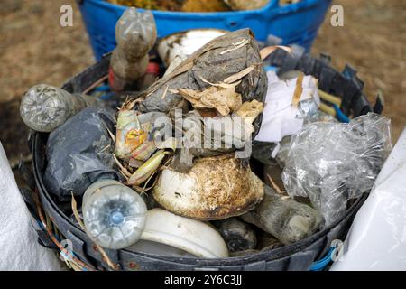 Nettoyage volontaire d'un canal à Samutprakarn, Thaïlande les ordures collectées dans un canal lors d'une journée de nettoyage organisée par Starboard à Samut Prakan, dans la banlieue de Bangkok, Thaïlande, le 21 septembre 2024. Les volontaires participant au nettoyage ont été séparés en deux groupes, où le groupe le plus important ramassait les ordures principalement les déchets plastiques du canal tandis que l'autre groupe ramassait les ordures jetées dans les ruelles voisines. Starboard prête régulièrement des planches SUP pour le nettoyage des canaux, aidant à rassembler les communautés pour nettoyer et réduire les déchets. Ils le font par l'action et la sensibilisation, en collectant les déchets A. Banque D'Images