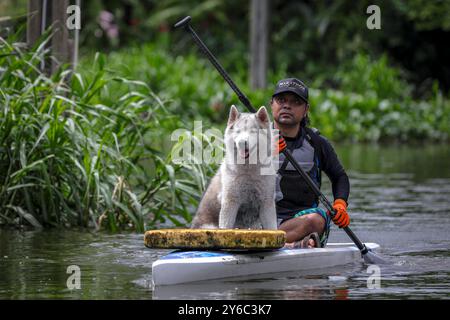 Nettoyage volontaire d'un canal à Samutprakarn, Thaïlande Un chien se lève avec un bénévole sur un stand-up Starboard SUP Paddle Boards cherchant à ramasser les ordures le long d'un canal lors d'une journée de nettoyage organisée par Starboard à Samut Prakan, dans la banlieue de Bangkok, Thaïlande, le 21 septembre 2024. Les volontaires participant au nettoyage ont été séparés en deux groupes, où le groupe le plus important ramassait les ordures principalement les déchets plastiques du canal tandis que l'autre groupe ramassait les ordures jetées dans les ruelles voisines. Starboard prête régulièrement des panneaux SUP pour le nettoyage des canaux, aidant ainsi les communautés à se réunir pour nettoyer et Banque D'Images