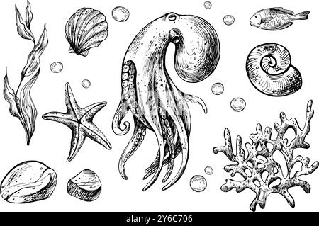 Poulpe, coquillages, étoiles de mer, poissons, bulles, cailloux et autres animaux marins et plantes. Illustration graphique dessinée à la main à l'encre noire. Ensemble de isolé Illustration de Vecteur