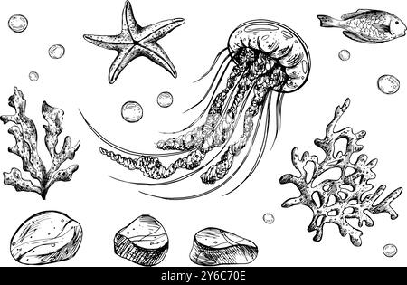 Méduses, coquilles, étoiles de mer, poissons, bulles, cailloux et autres animaux marins et plantes. Illustration graphique dessinée à la main à l'encre noire. Ensemble de isolé Illustration de Vecteur