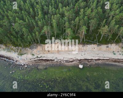 Estonienne petite île Pedassaar dans la mer Baltique, rivage sablonneux escarpé et calme mer peu profonde, vue photo depuis un drone. Banque D'Images