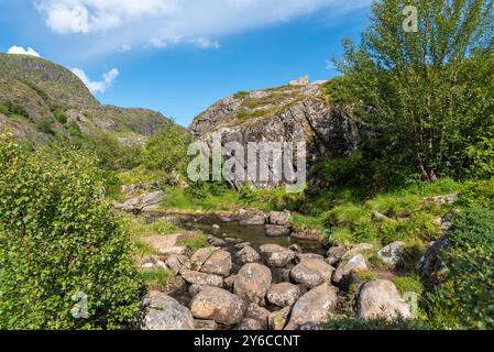 Image de paysage avec le ruisseau de montagne Studalselva près de Munkebu-stig, Sorvagen, Lofoten, Norvège, Europe Banque D'Images