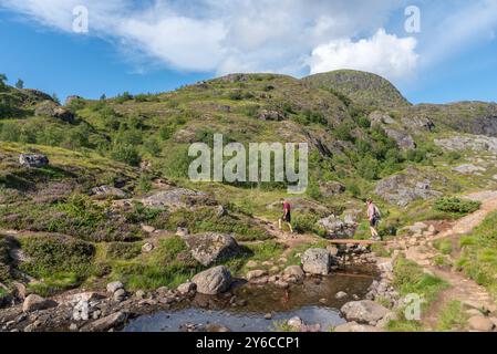 Image de paysage avec le ruisseau de montagne Studalselva près de Munkebu-stig, Sorvagen, Lofoten, Norvège, Europe Banque D'Images