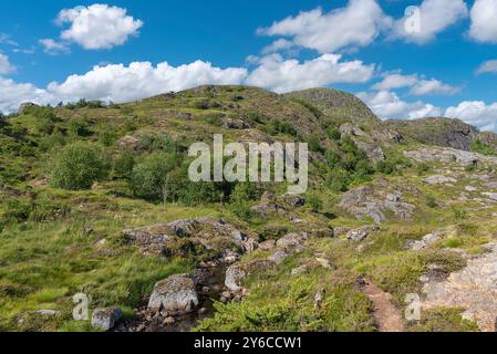 Image de paysage avec le ruisseau de montagne Studalselva près de Munkebu-stig, Sorvagen, Lofoten, Norvège, Europe Banque D'Images