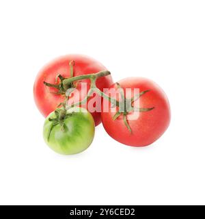 Ramifier avec des tomates roses mûres et non mûres isolées sur blanc Banque D'Images