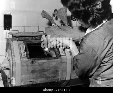 ARGENT SALE LAVÉ À COLOGNE ; 24 DÉCEMBRE 1963 Banque D'Images