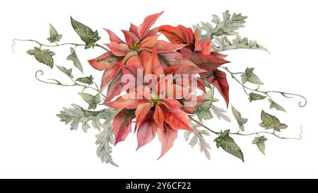 Fleur de poinsettia rouge avec lierre, feuilles de meunier poussiéreuses. Aquarelle illustration dessinée à la main, composition de bouquet isolé sur blanc. Noël, bonne année Banque D'Images
