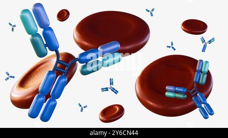 rendu 3d des molécules d'anticorps dispersées autour des globules rouges ou des érythrocytes. Banque D'Images