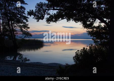 Crépuscule sur le lac Mueritz, Parc National de la Müritz, Mecklembourg-Poméranie-Occidentale. Allemagne Banque D'Images