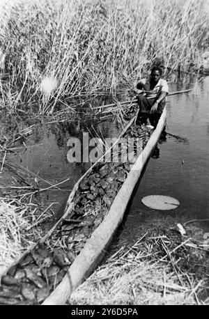 VILLAGES AUTOCHTONES ÉLOIGNÉS - RECENSEMENT EN RHODÉSIE DU NORD, AFRIQUE ; 2 AOÛT 1963 Banque D'Images