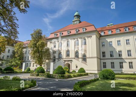 Herzzentrum, Charite, Augustenburger Virchow-Klinikum Platz, Mariage, Mitte, Berlin, Deutschland Banque D'Images