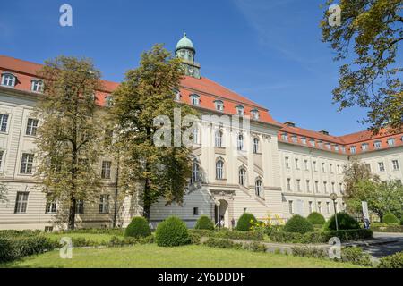 Herzzentrum, Charite, Augustenburger Virchow-Klinikum Platz, Mariage, Mitte, Berlin, Deutschland Banque D'Images