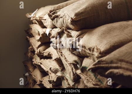 Stockage des grains de café crus dans l'entrepôt avec des sacs de toile de jute empilés Banque D'Images