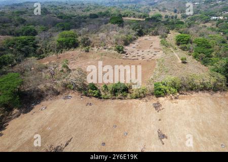 Paysage de déforestation fond vue aérienne drone Banque D'Images