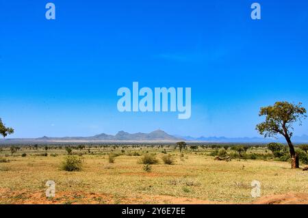 --Karamoja Savanah paysage - Ouganda Banque D'Images