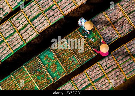 Séchage du poisson à Vung Tau, Viet Nam Banque D'Images